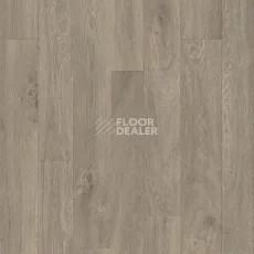 Линолеум Tarkett Titan CHESTER_2 фото 1 | FLOORDEALER