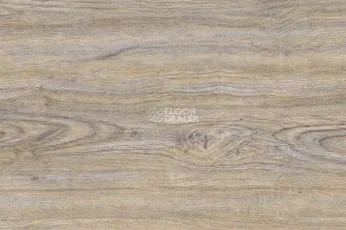 Wood замковое CORK OAK LEACHED фото 1 | FLOORDEALER
