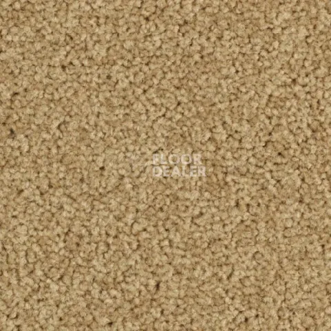 Ковролин Balsan Serenite 640 фото 1 | FLOORDEALER