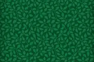 Ковролин Halbmond Classic Selection 42410 a 40 фото  | FLOORDEALER