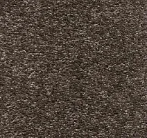 Ковролин AW Omnia 42 фото 1 | FLOORDEALER