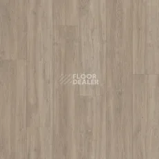 Линолеум Polystyl Polaris FALCON_1 фото 1 | FLOORDEALER