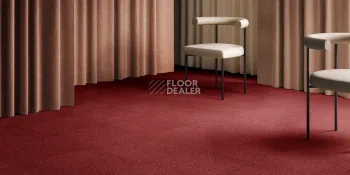 AW Maxima 12 фото 2 | FLOORDEALER