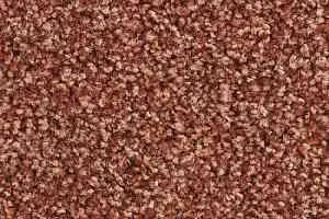 Ковролин Balsan Script 470 фото  | FLOORDEALER