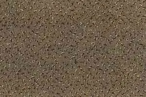 Ковролин Betap Pluto 193 фото  | FLOORDEALER