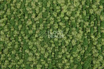 Haima Coral 30 фото 3 | FLOORDEALER