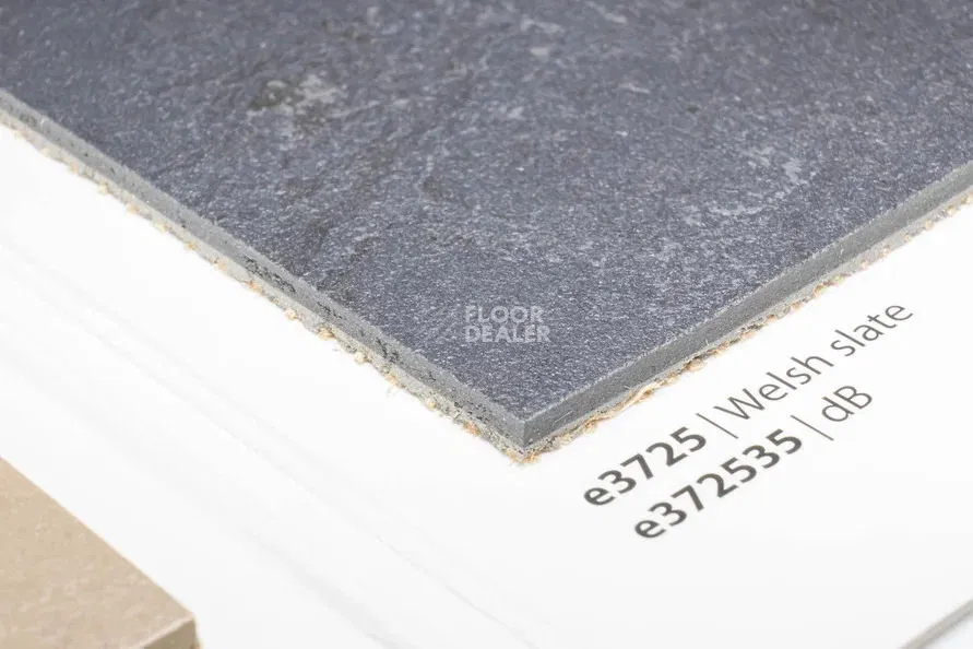 Forbo Marmoleum Solid Slate e3725-e372535 Welsh slate фото 2 | FLOORDEALER