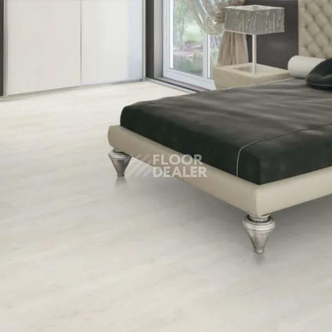 Wood OAK POLAR WHITE фото 3 | FLOORDEALER
