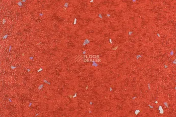 Forbo Emerald Spectra 5555 фото 1 | FLOORDEALER