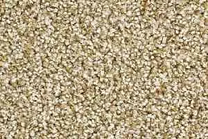 Ковролин Balsan Script 605 фото  | FLOORDEALER