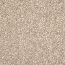 Ковролин AW Masquerade Isotta 36 фото 1 | FLOORDEALER