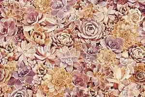 Ковролин Halbmond Pure Elements 13842 фото  | FLOORDEALER