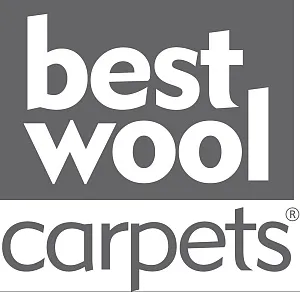 Best Wool