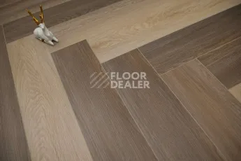 Evofloor Parquet Click 4.5мм Kampena (Паркет Кампена) фото 2 | FLOORDEALER