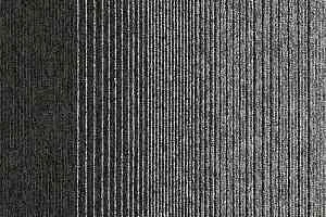 Ковровая плитка Interface Employ Loop/Lines Lines 4223003 фото  | FLOORDEALER