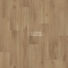 Линолеум Tarkett Acczent Pro Samson 1 фото 1 | FLOORDEALER