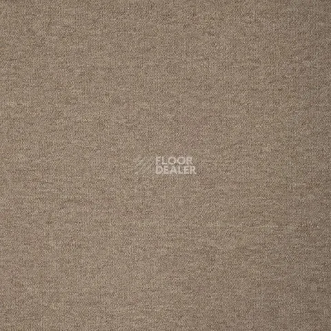Condor Sparkle 71 фото 2 | FLOORDEALER
