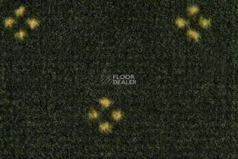 Haima Chic 05 фото 3 | FLOORDEALER