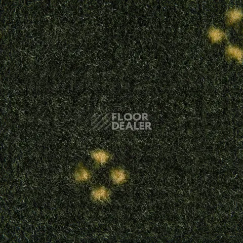 Haima Chic 05 фото 3 | FLOORDEALER