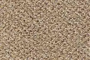 Ковролин AW Stainaway Tweed 50 фото  | FLOORDEALER