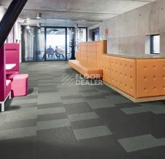 Forbo Marmoleum Modular t3745 Cornish grey фото 2 | FLOORDEALER
