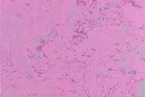 Линолеум Forbo Marmoleum Solid Concrete 3740-374035 purple glow фото  | FLOORDEALER