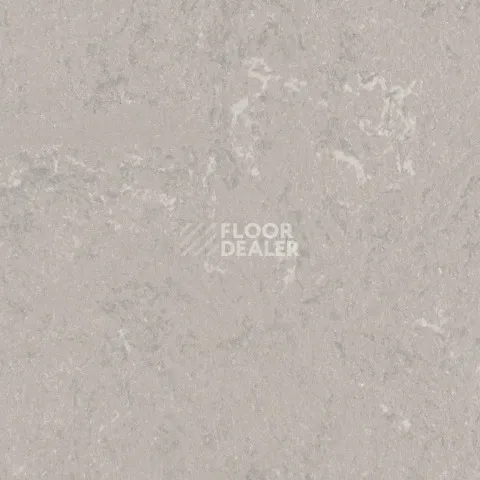 Линолеум Forbo Marmoleum Solid Concrete 3702-370235 liquid clay фото 1 | FLOORDEALER