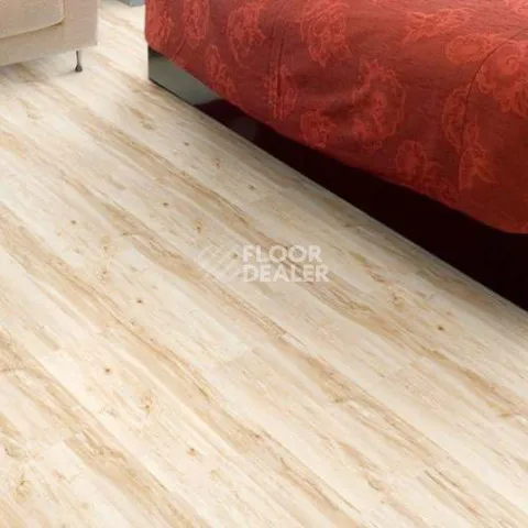 Wood MAPLE фото 2 | FLOORDEALER