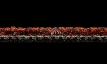 AW Maxima 12 фото 6 | FLOORDEALER