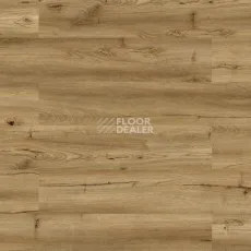 Пробковое покрытие Wood Go LJY6001 Oak Rustic фото 1 | FLOORDEALER