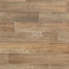 Линолеум Tarkett Весна TORONTO 1 фото 1 | FLOORDEALER