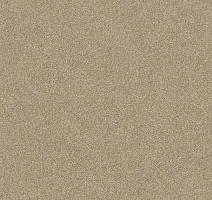 Ковролин Haima Lounge x 4452 фото 1 | FLOORDEALER