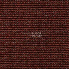 Ковролин Carpet Concept Eco Iqu 10064 фото 1 | FLOORDEALER