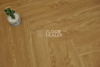 Evofloor Parquet Click 4.5мм Lanterna (Лантерна) фото 3 | FLOORDEALER