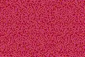 Ковровая плитка Halbmond Tiles & More 4 tm 4-049-01 фото  | FLOORDEALER