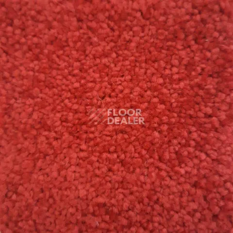 Ковролин Condor Carpets Dynasty 22 фото 1 | FLOORDEALER
