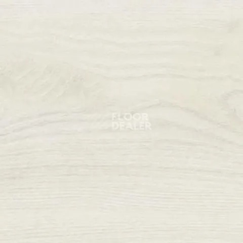 Пробковое покрытие Wood OAK POLAR WHITE фото 1 | FLOORDEALER