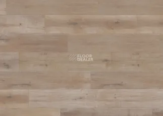 Terhurne Trend Line 243мм 1912 Дуб Барбершоп 1101020897 фото 3 | FLOORDEALER