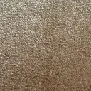 Ковролин Дюна Тафт Napoli 244  | FLOORDEALER