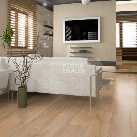 Kronotex Robusto 12мм d4954 Дуб Премиум фото 3 | FLOORDEALER