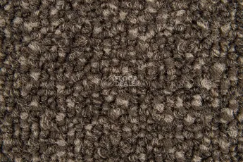Haima Coral 06 фото 3 | FLOORDEALER