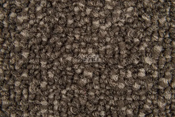 Ковролин Haima Coral 06 фото 3 | FLOORDEALER