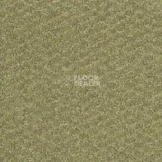 Ковролин Shaw Formation 300 фото 1 | FLOORDEALER