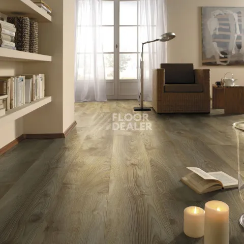 Kronotex Mammut d4794 Дуб Натуральный Макро фото 3 | FLOORDEALER
