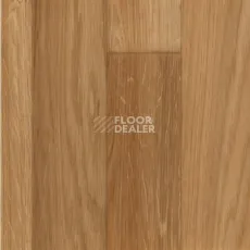 Линолеум Tarkett Acczent Pro Oak 01 фото 1 | FLOORDEALER