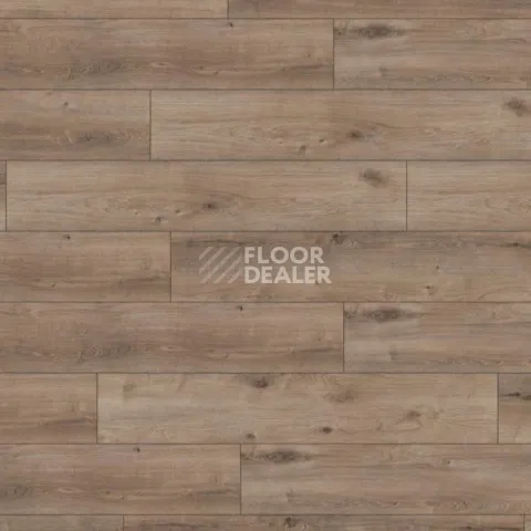 Ламинат Kronotex Exquisit Plus d6020 Дуб Кашмир Титан фото 1 | FLOORDEALER