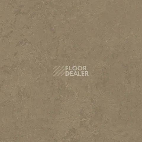 Линолеум Forbo Marmoleum Decibel 370935 silt фото 1 | FLOORDEALER