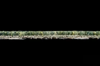 AW Medusa 21 фото 4 | FLOORDEALER