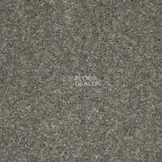 Ковролин AW Masquerade Gala 94 фото 1 | FLOORDEALER