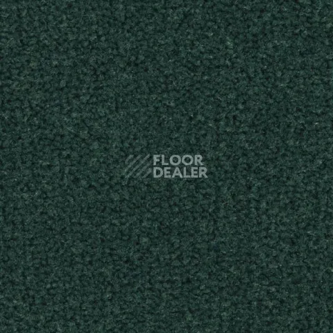 Ковролин Balsan Les Best 290 фото 1 | FLOORDEALER
